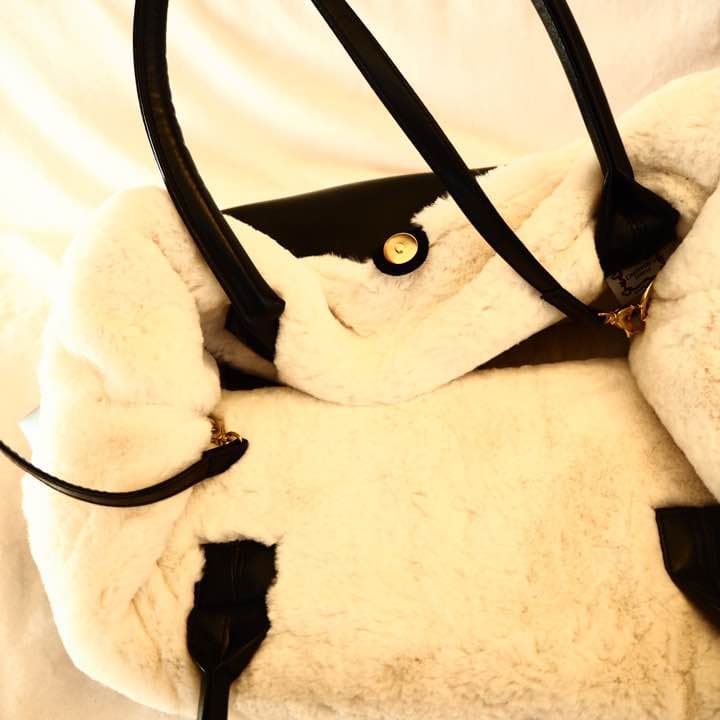 ドッグ用キャリーバッグ  シャーロットドレス