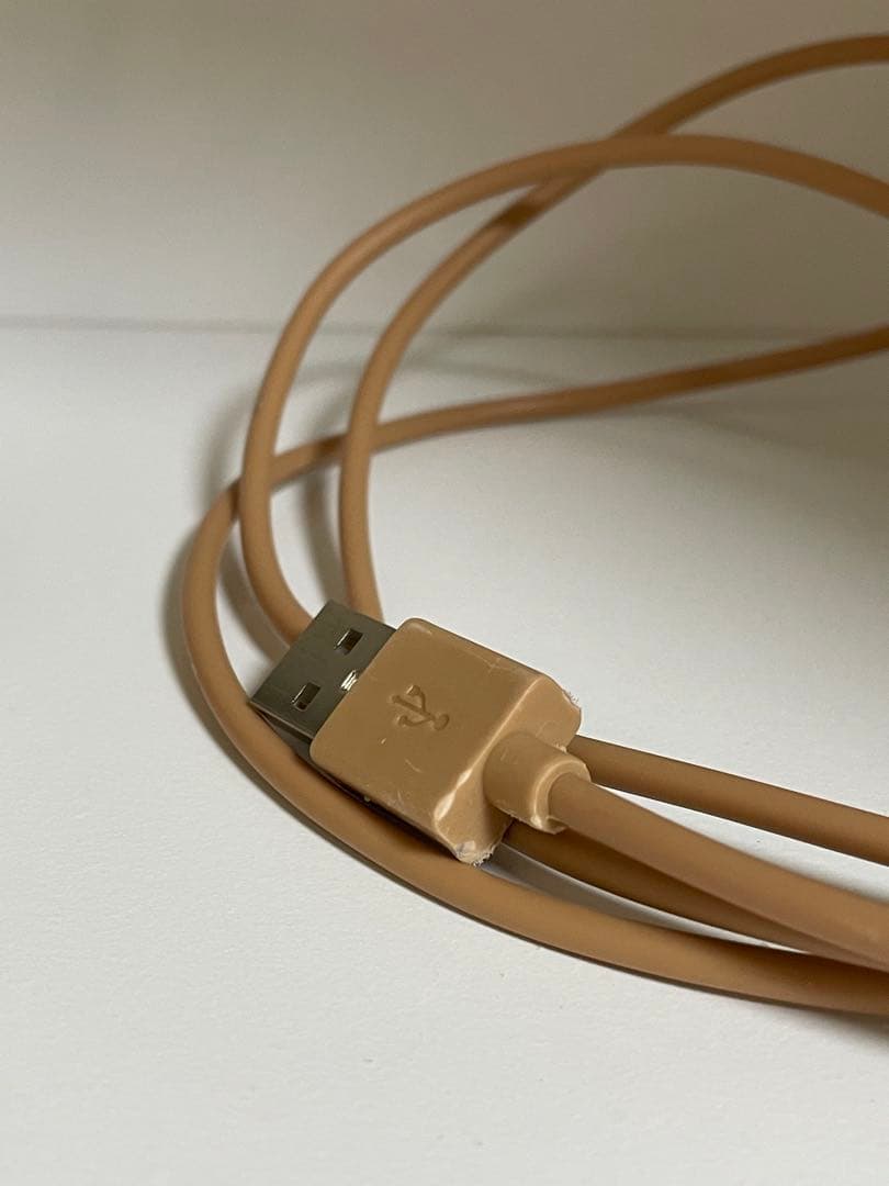 マダツボミのLEDライト