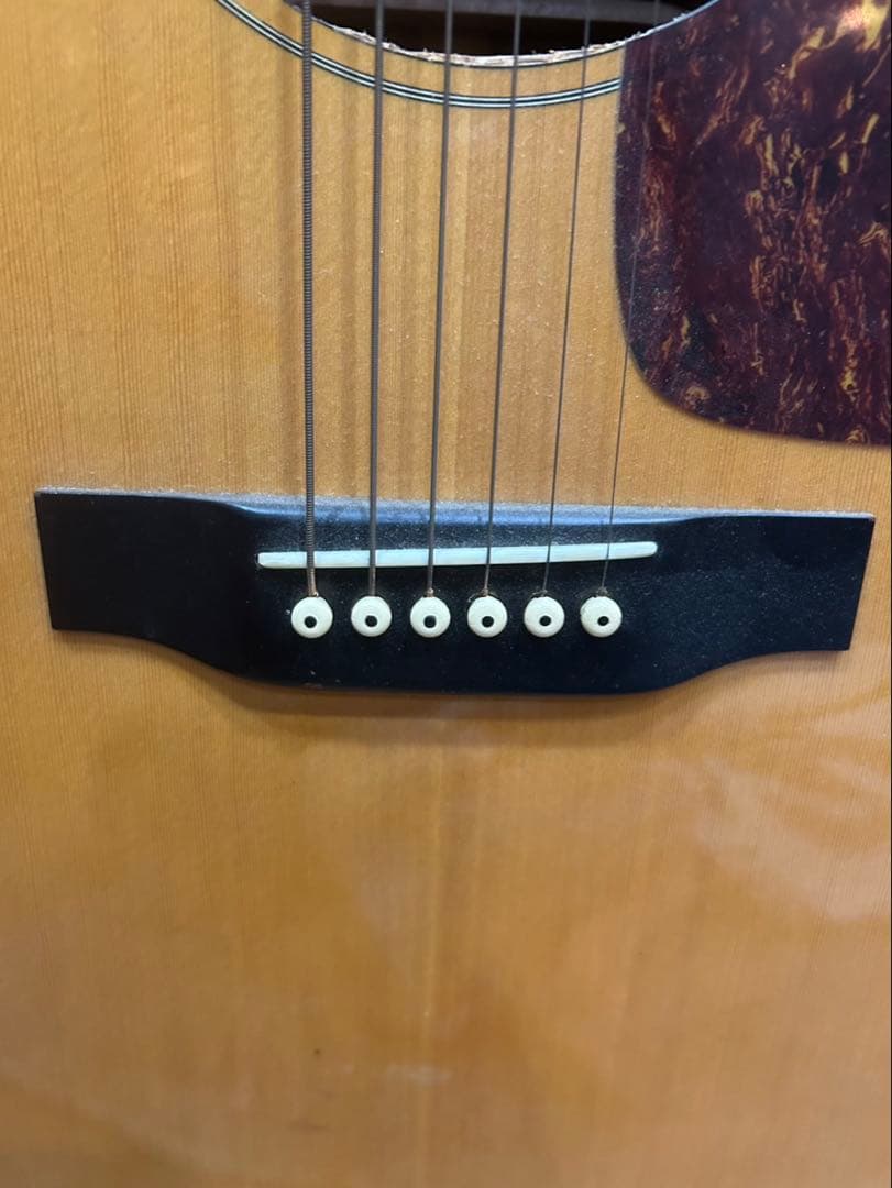 モーリスMorrisアコースティックギターハードケース付　MD512