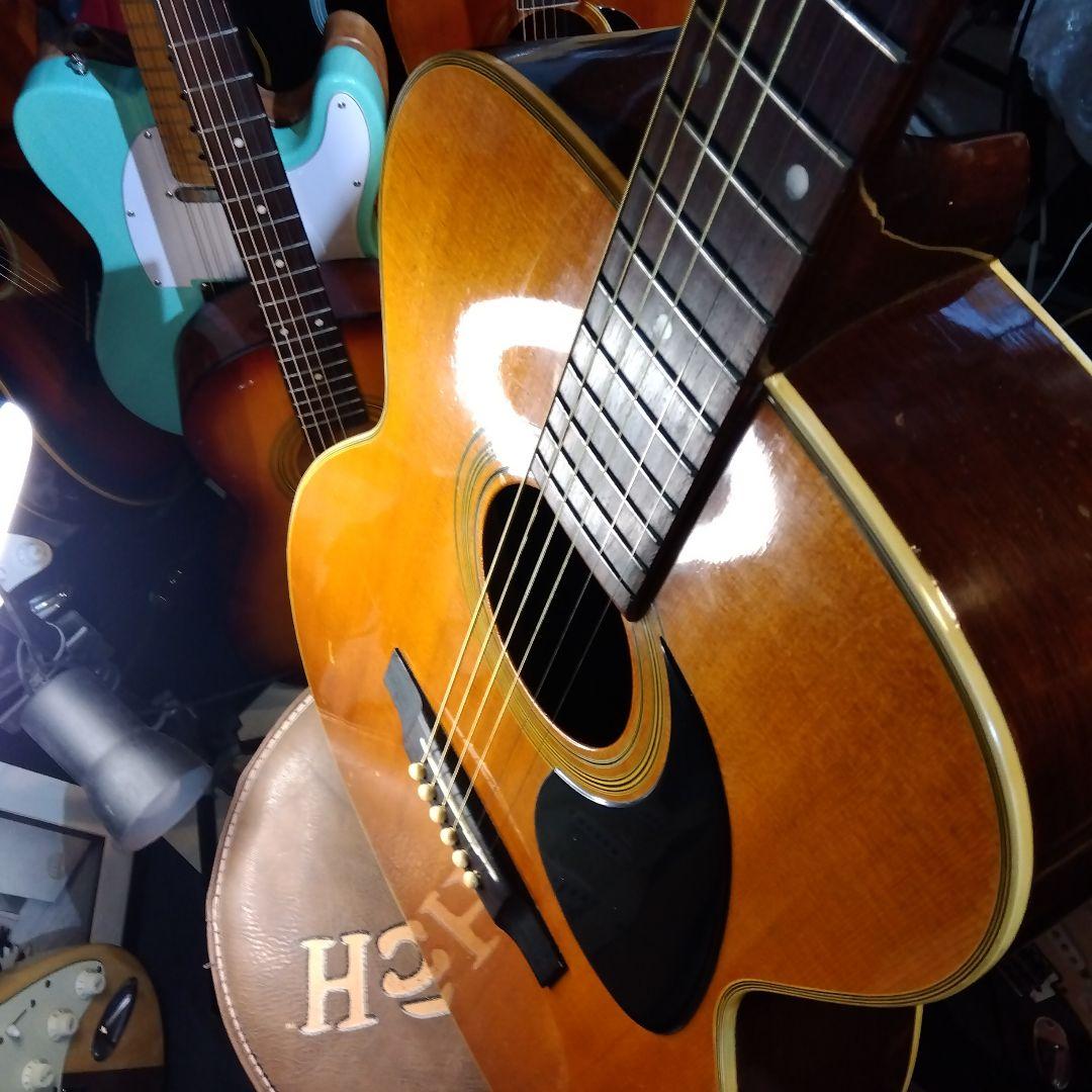 Greco、アコースティックギター！