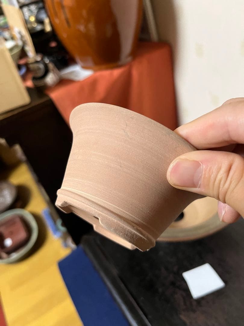 49 盆栽　盆栽鉢　植木鉢　和鉢　祥石　３鉢