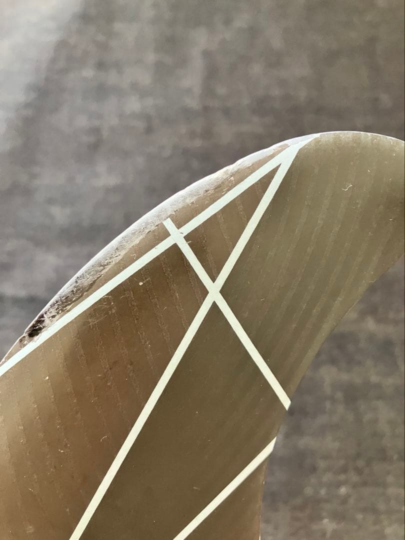 FCS II トライフィン コロヘアンディーノシグネチャーフィン　L