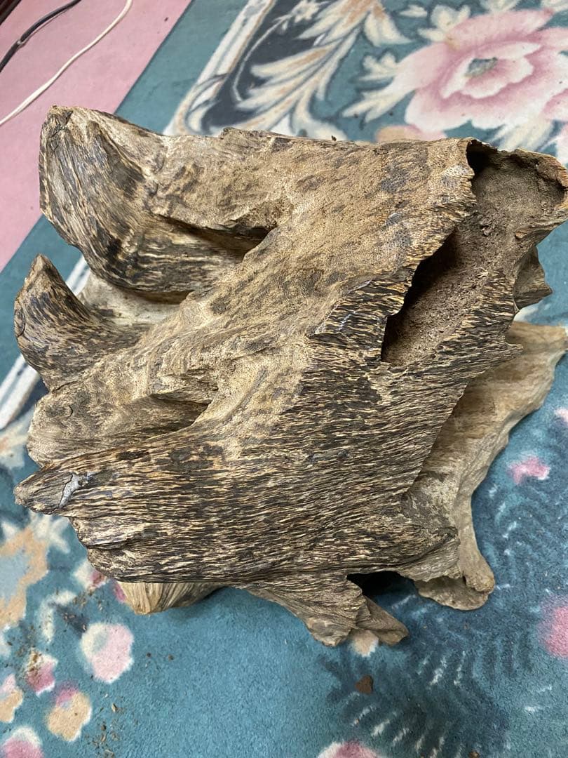 ベトナム産天然香木　希少大型良香沈香約2.9キロg