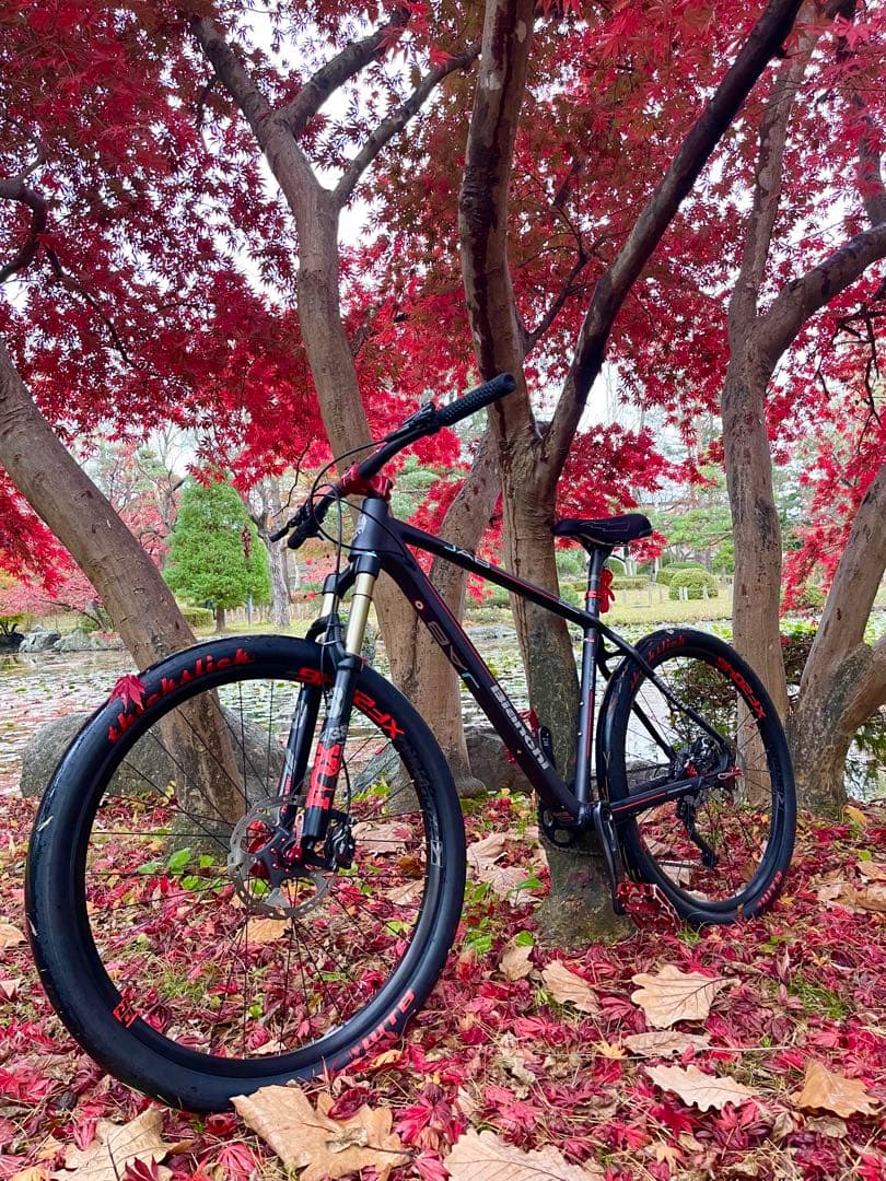 Bianchi マウンテンバイク 完成車 コンポxt