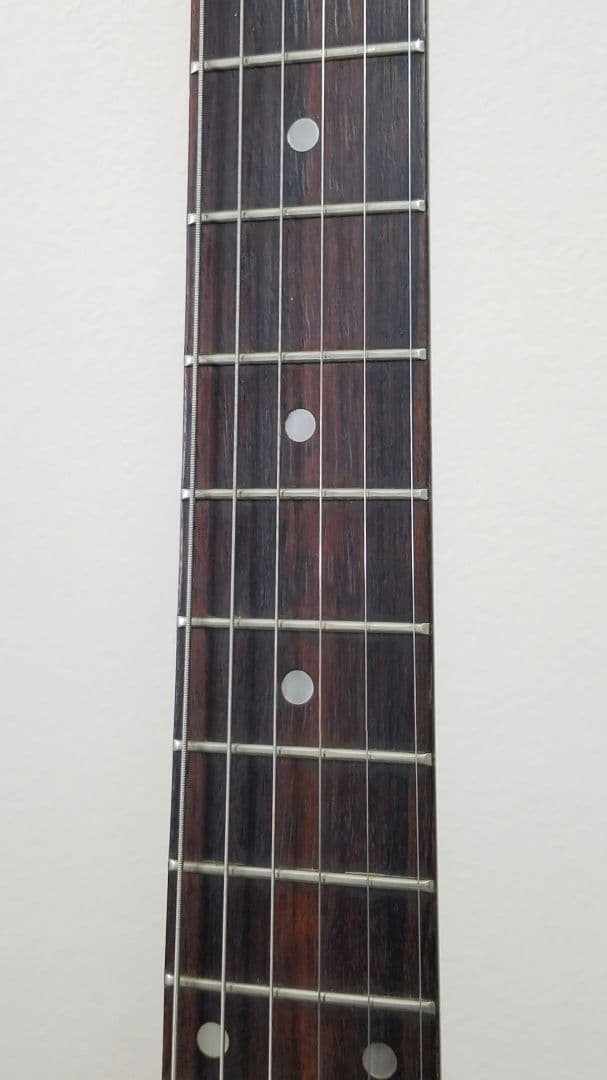 Brian by Bacchus テレキャスターカスタムタイプ エレキギター