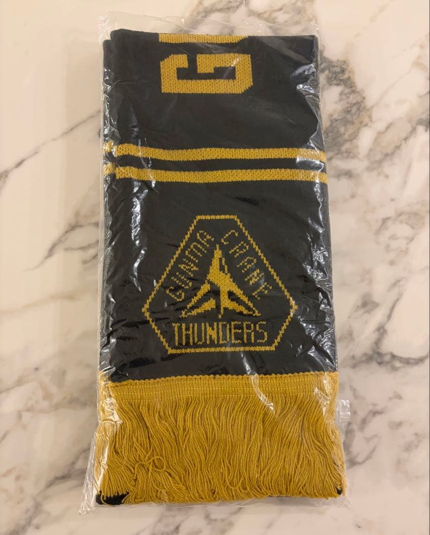 群馬クレインサンダース　ファンクラブ特典4点セット ユニフォーム