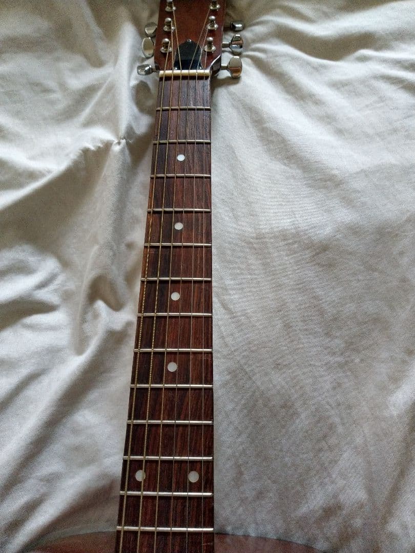 Greco アコースティックギター MODEL100