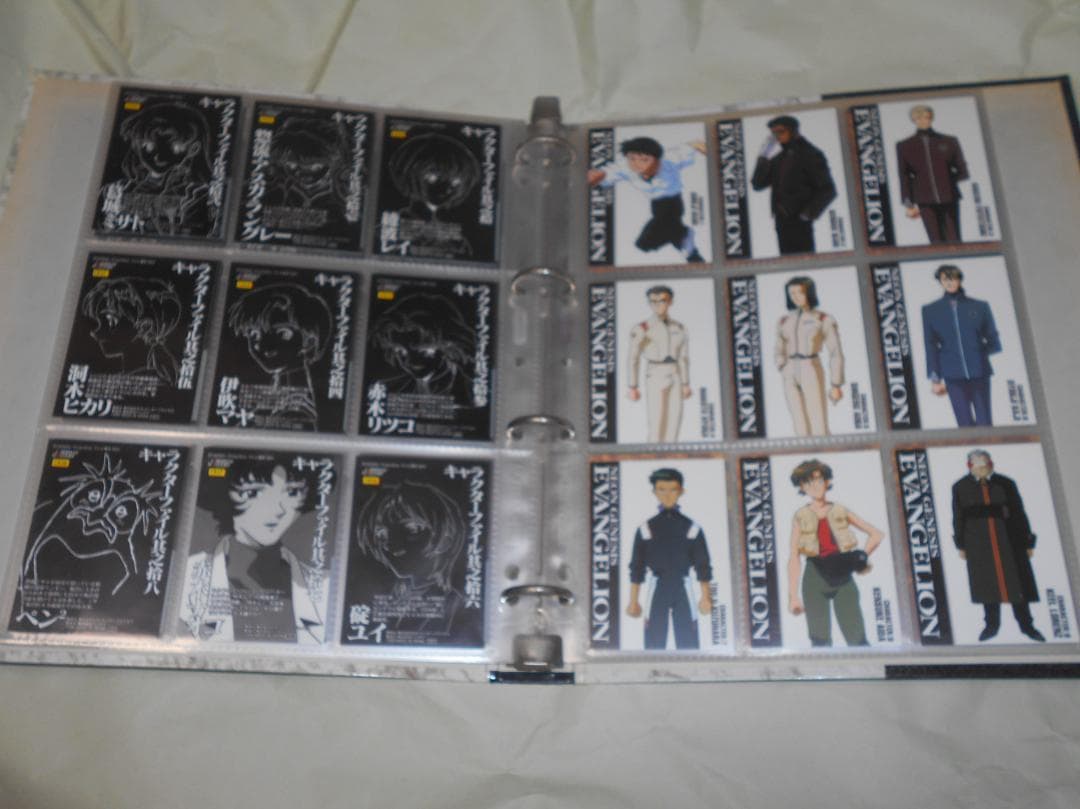 d*9様 エヴァ　トレカ　カード　まとめ　バインダー入り　ノーマルのみ　1集　版