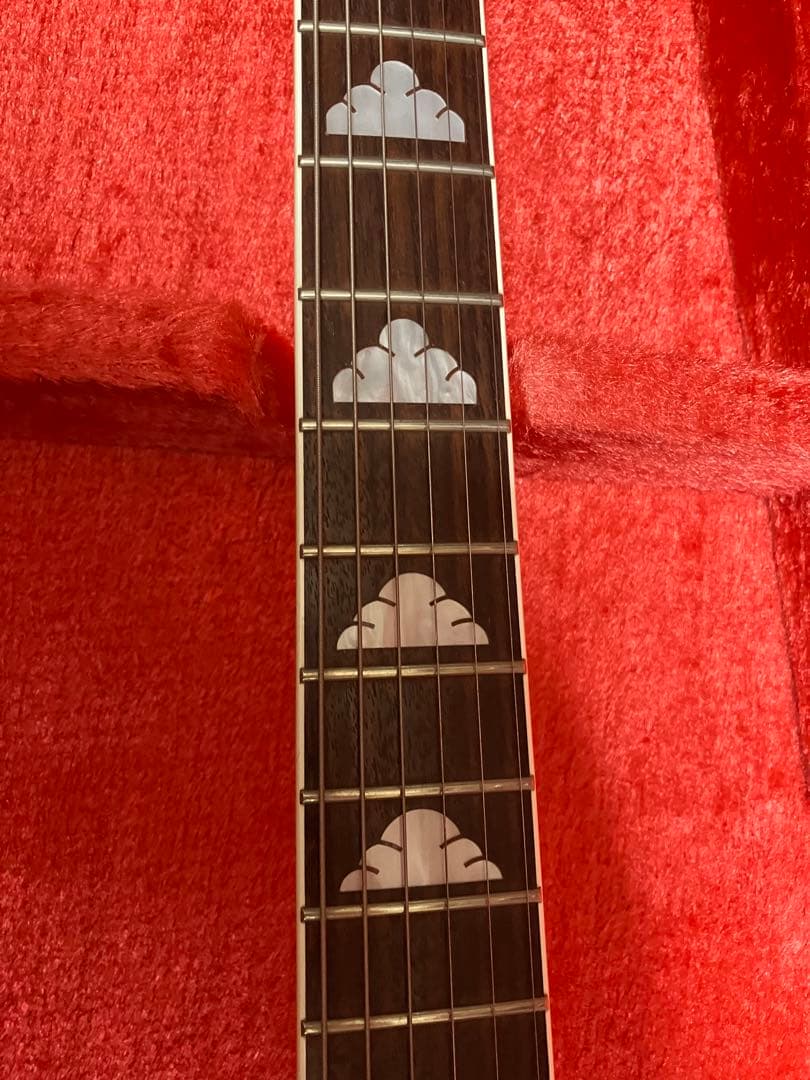 KRYO HIDE fernandes MG145-SW(スノーホワイト)