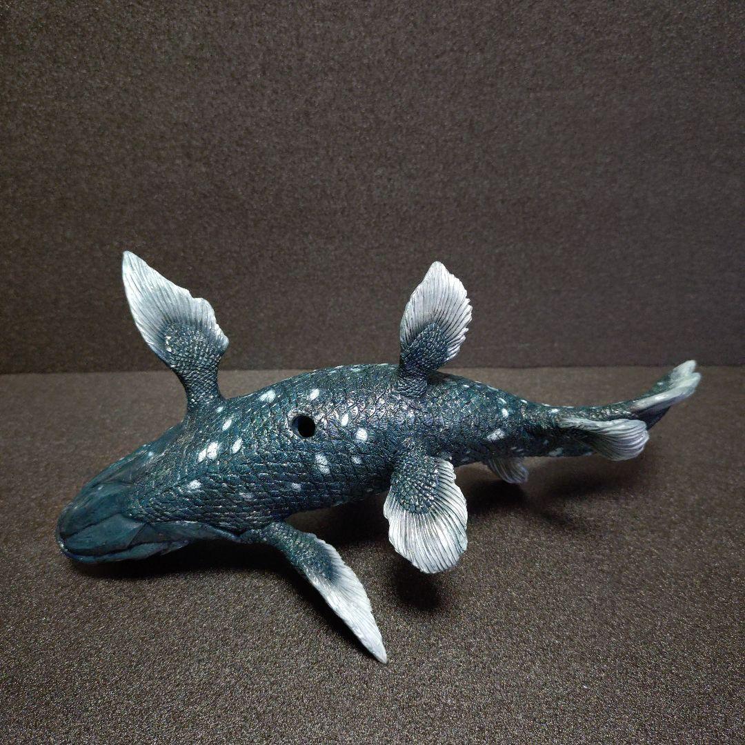 シーラカンス　スタチュー スターエーストイズ