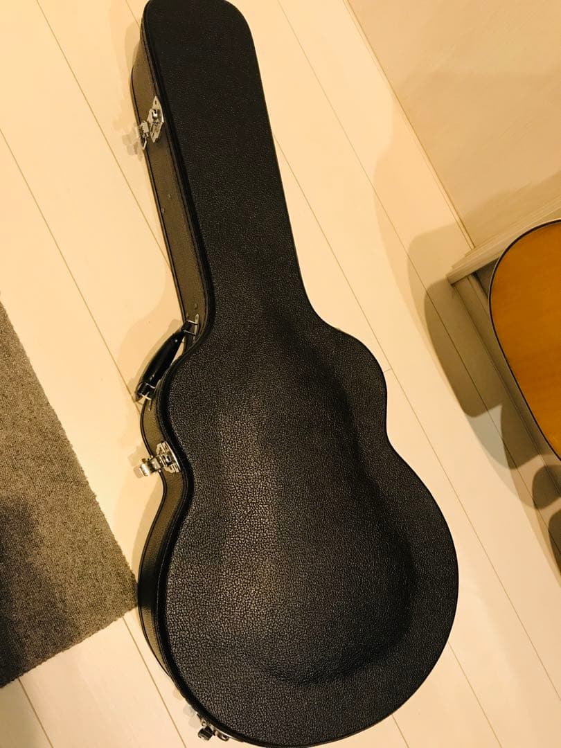 ようへい様ケース付き送料込値下げ！珍しいスロバキヤDOWINA