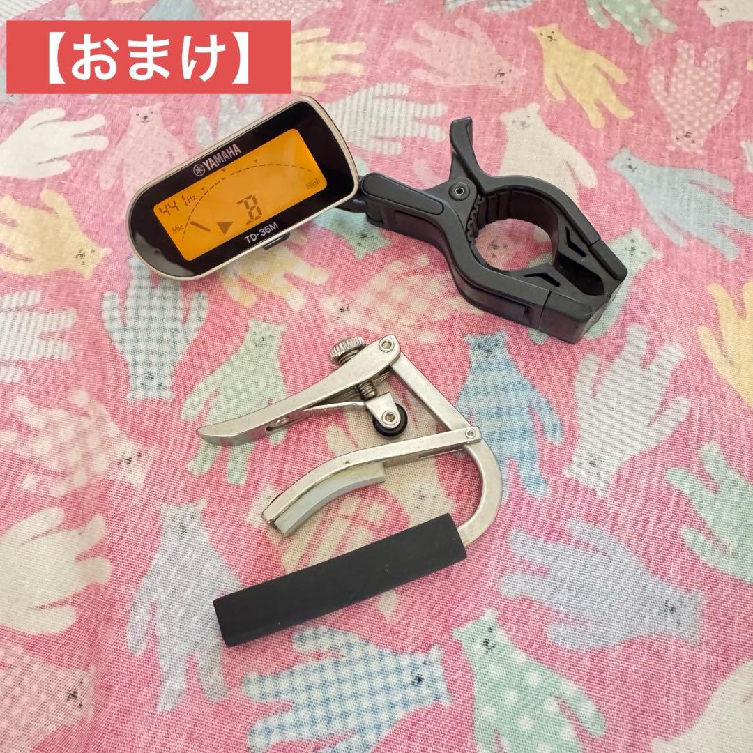 ベビーテイラー ギター baby taylor