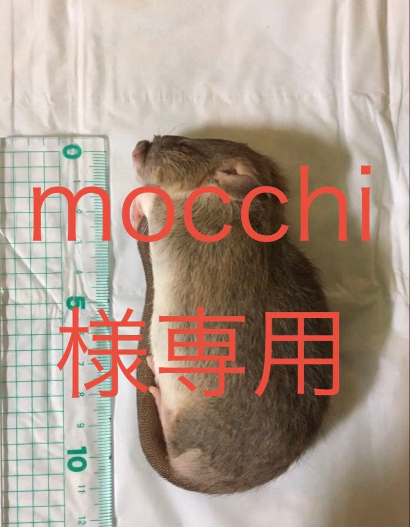 冷凍PL50 F50 H50 ADM100 ADL100