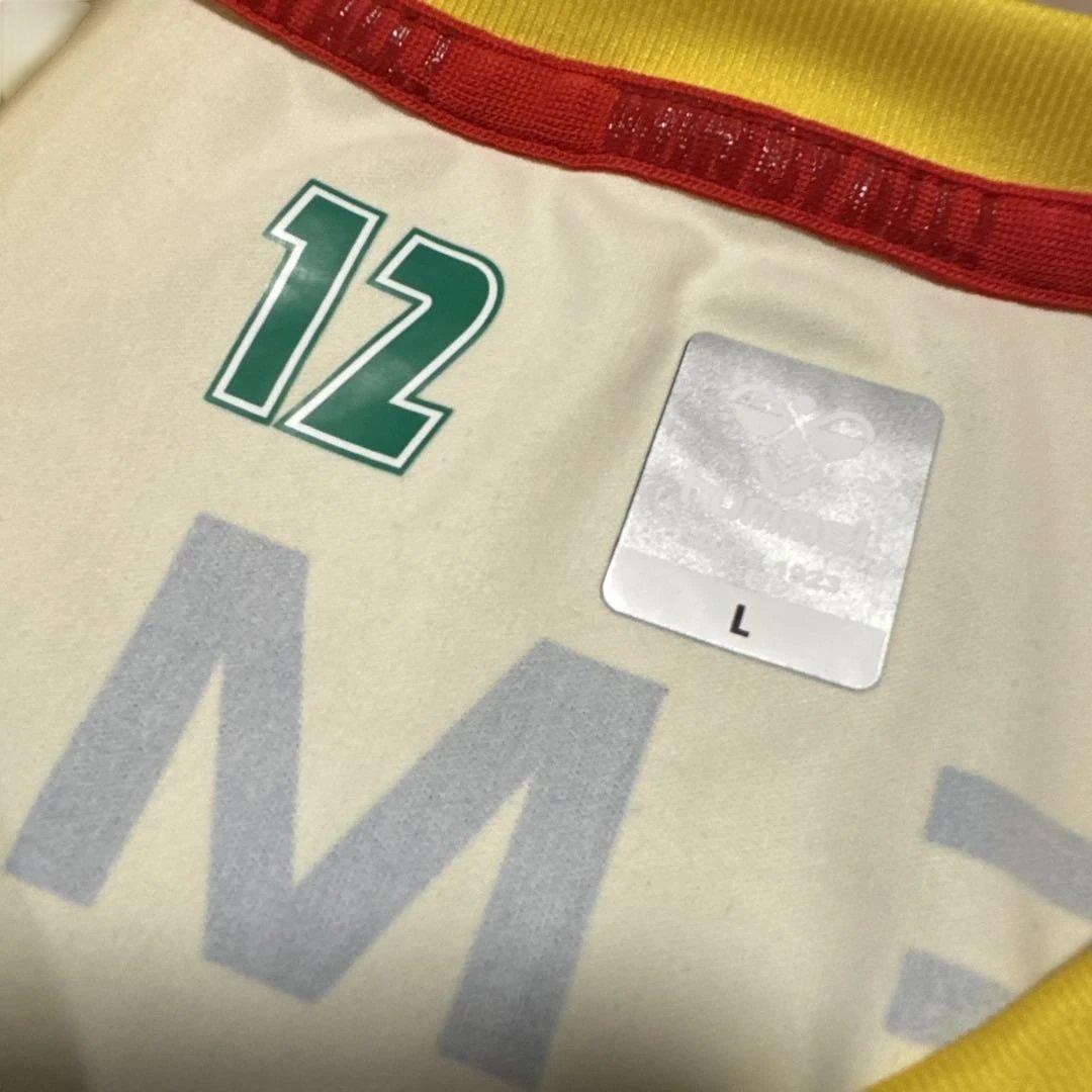 ジェフユナイテッド市原千葉 NO.4 田口泰士