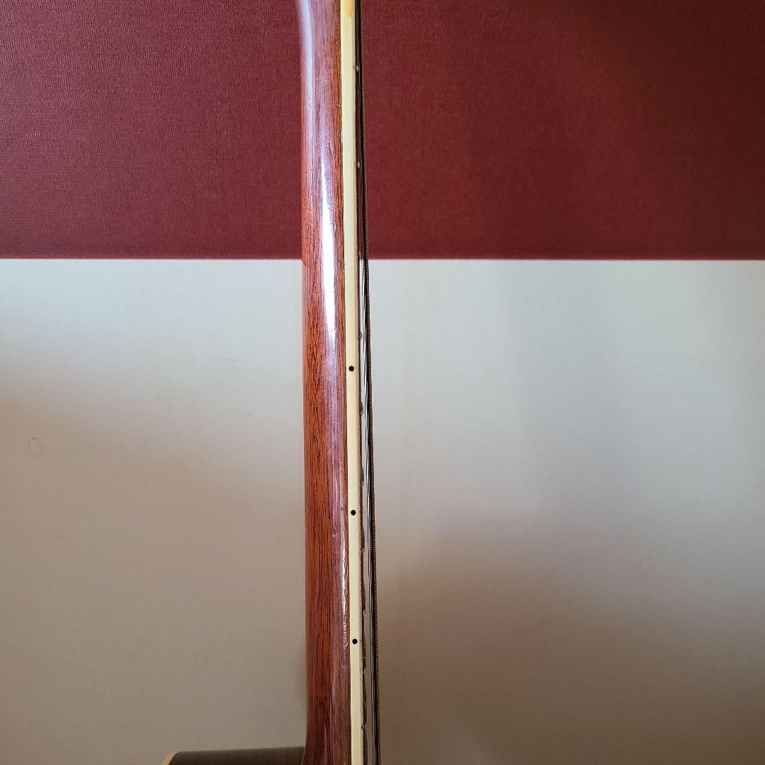 Morris アコースティックギター ドレッドノート