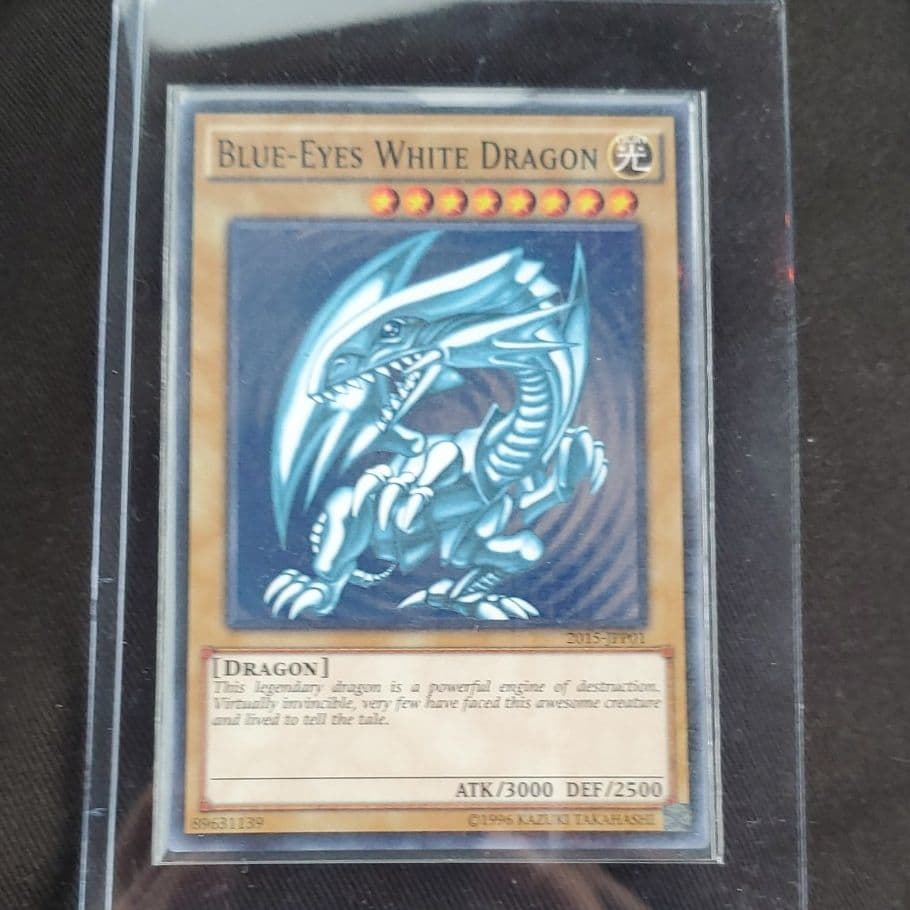 遊戯王　青眼の白龍　世界大会　京都