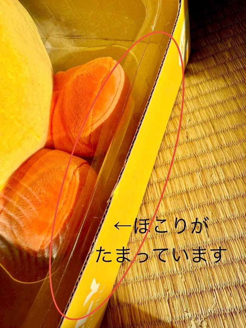 鍋*様 【箱傷み大の未開封品】ラインフレンズ　サリーぬいぐるみ