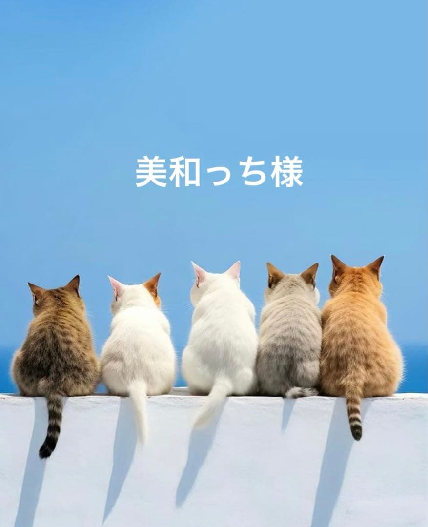 美和っち様ꔛ‬ෆBOX型トートバッグ·͜·ᰔᩚテイラー！