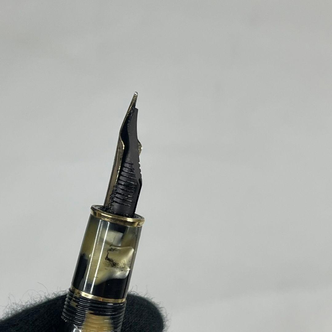 プラチナ 18k 万年筆 3776 セルロイド 石垣柄 中字