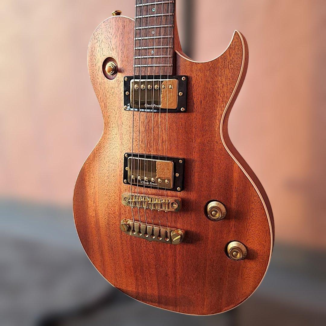 ■AriaProII PE-MAHO II/G 美品 マホガニー アリアプロツー