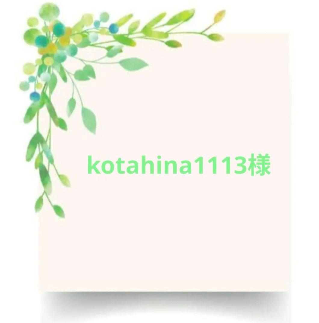 犬服・アクセサリー kotahina1113