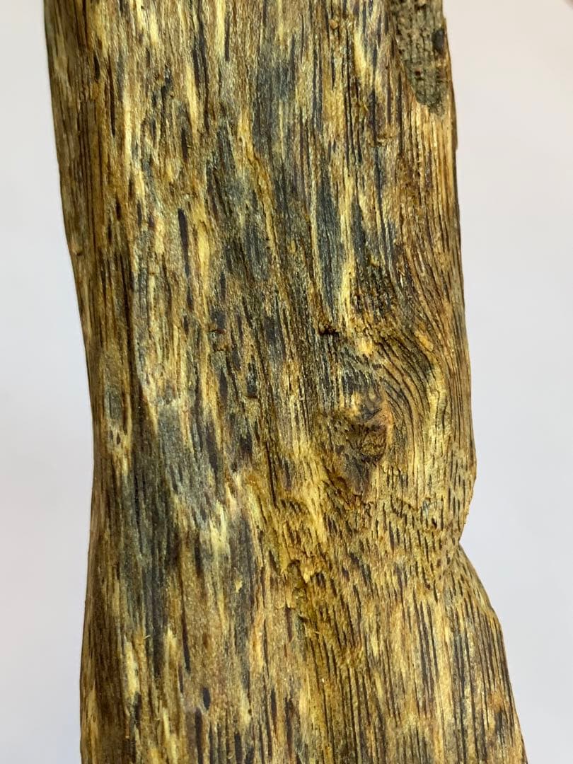 極上緑油伽羅 沈香原木 香木 重さ:131.8g (高ランク本物証明)