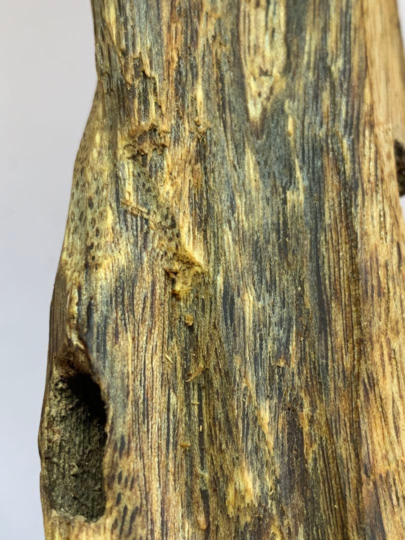 極上緑油伽羅 沈香原木 香木 重さ:131.8g (高ランク本物証明)