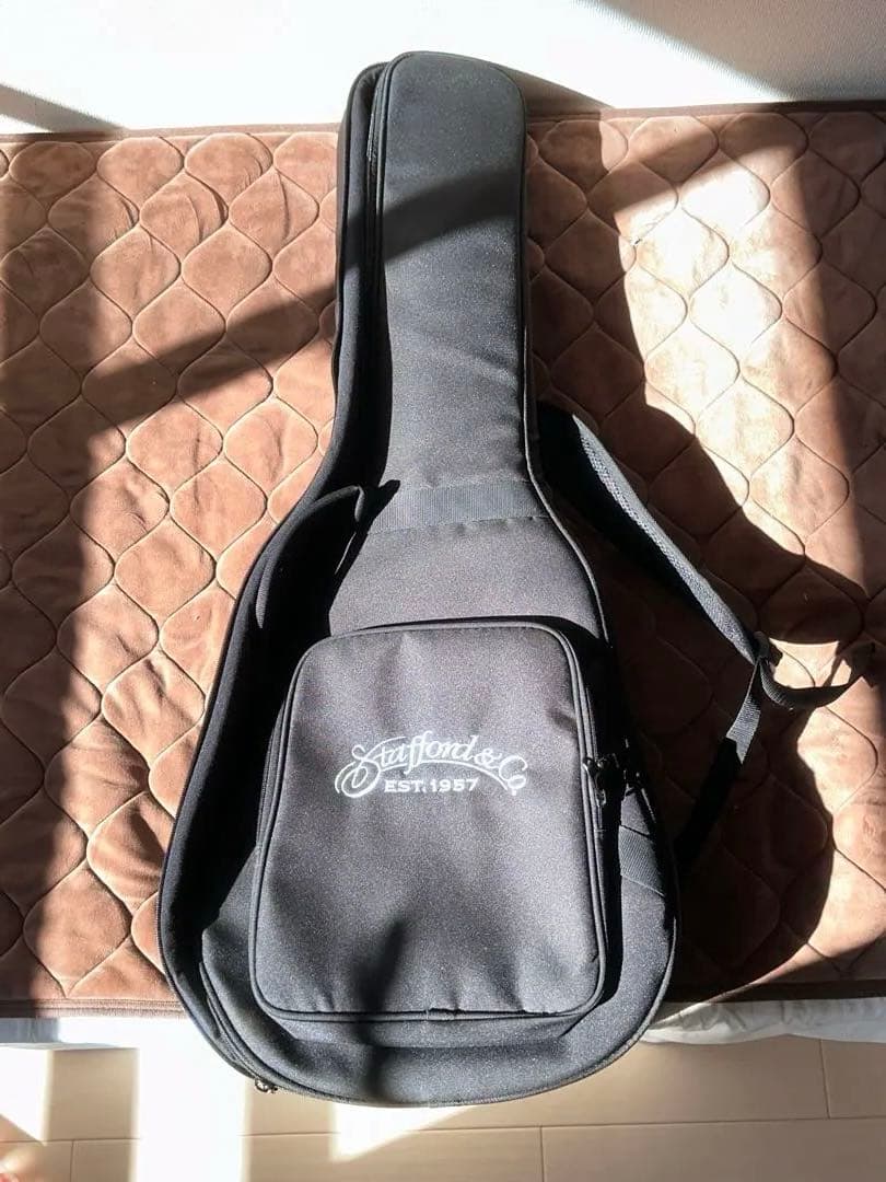 スタッフォードSF-300F-NFishman搭載｜ショートスケール｜専用ケース