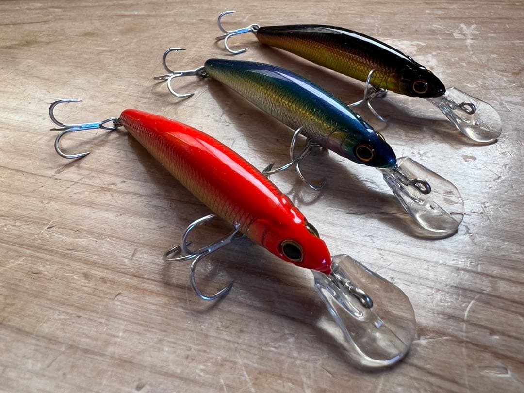 ザウルス　レックス70MD 10個セット