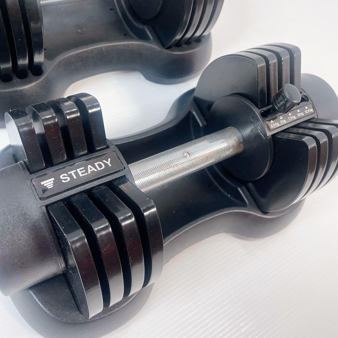STEADY 可変式ダンベル 12.5kg 2個セット