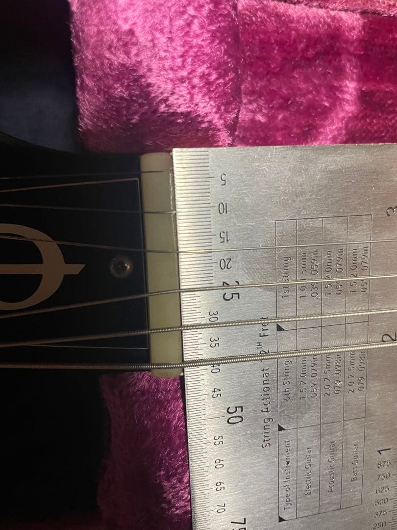 認定書付き　限定1965 ジョンレノン　エピフォンカジノ CASINO レボカジ