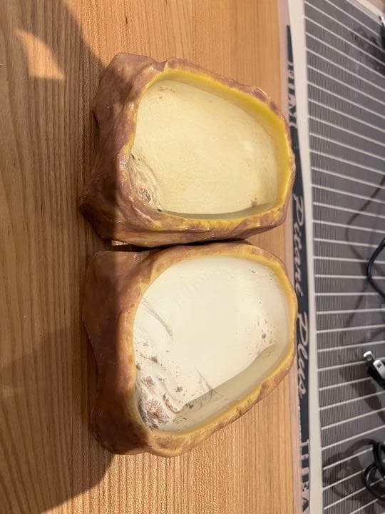 爬虫類飼育関連のアイテム