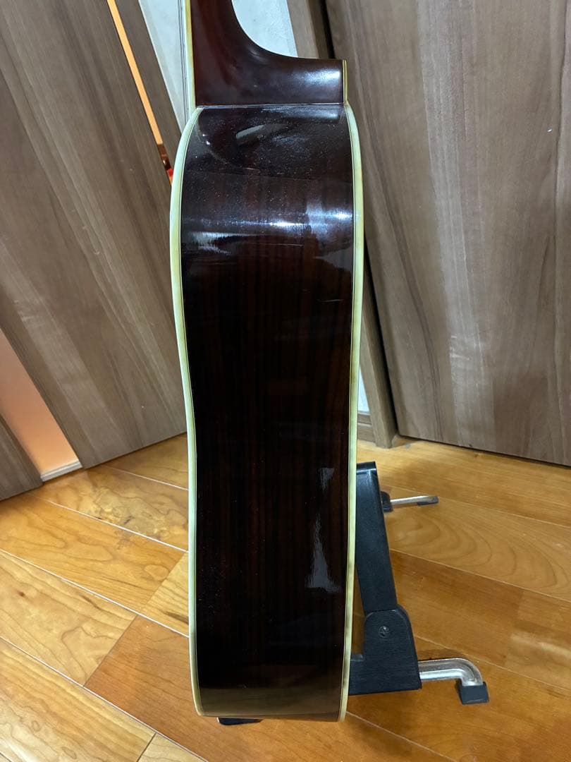 Morris W-50 アコースティックギター