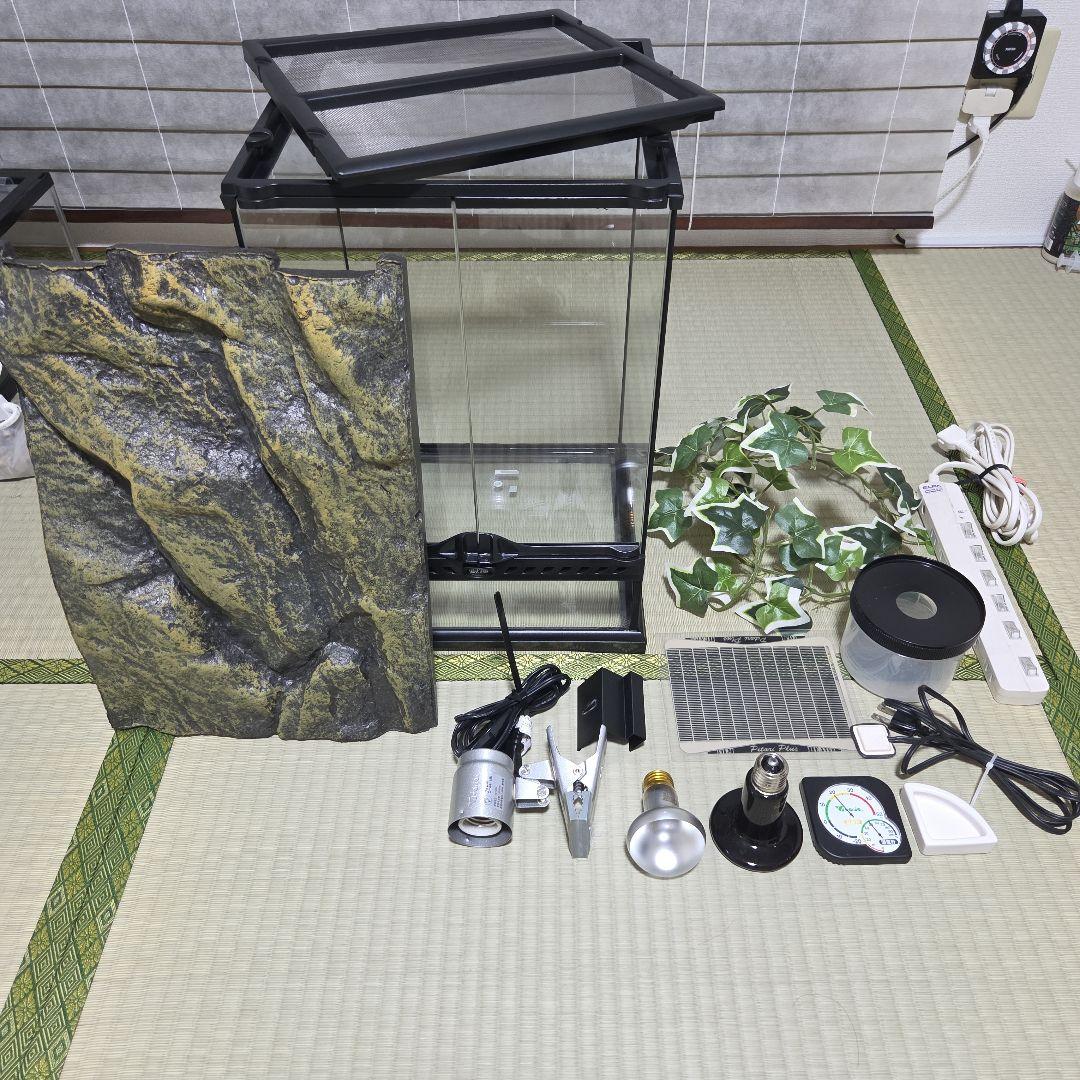 ぴっぴ GEX エキゾテラ グラステラリウム3045 一式セット