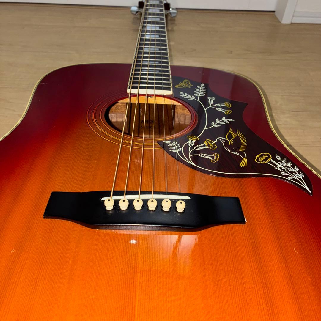 激レア！Morris(モーリス）WH-20ハミングバードタイプ　弦高調整済みです