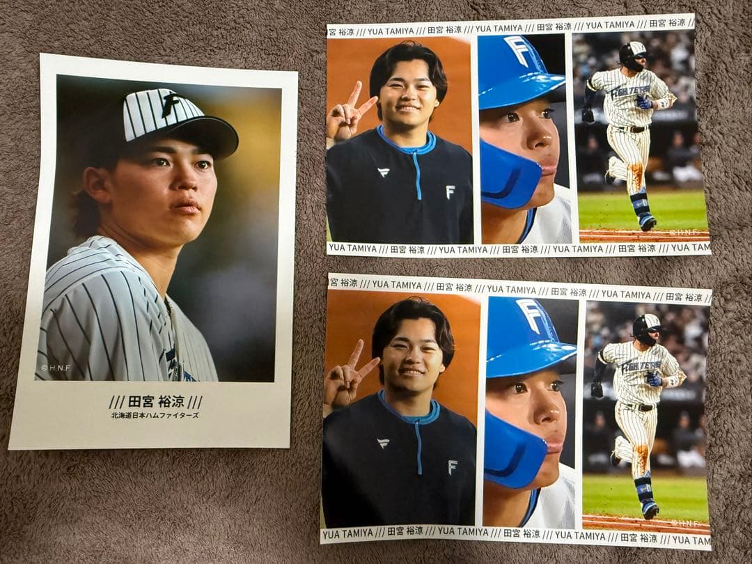 田宮裕涼 山崎福也 訳あり含む ハイライトフォト 80枚