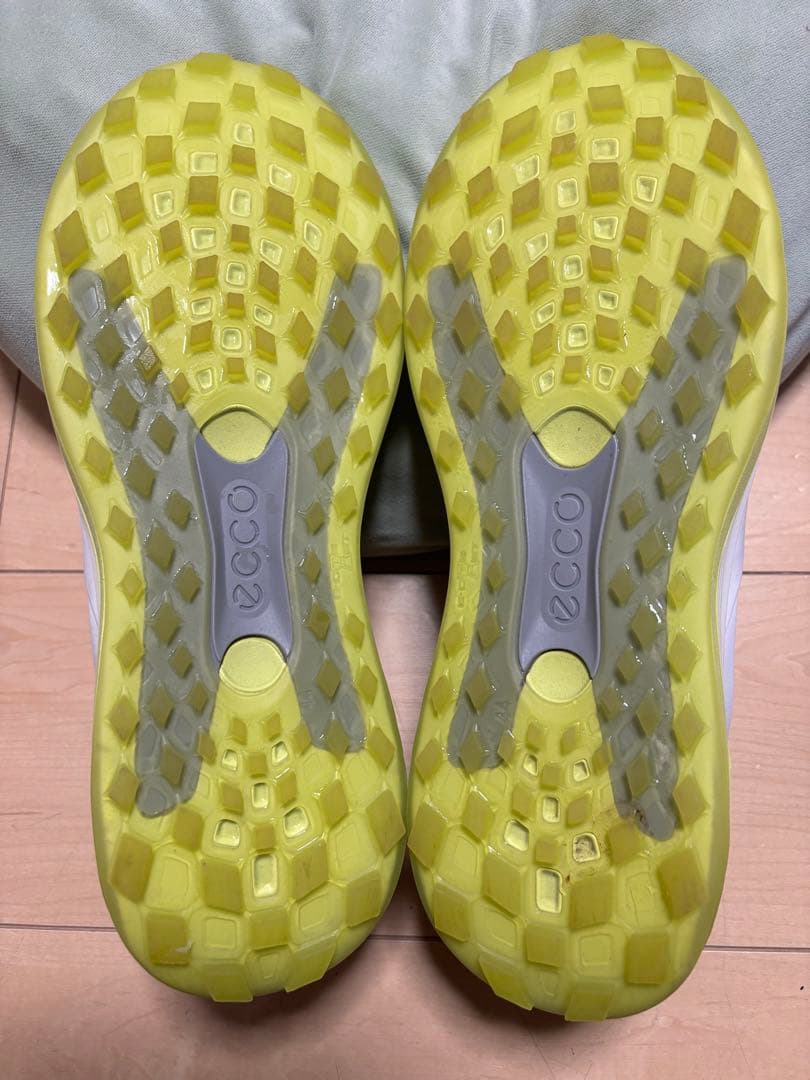 モップヌードル ECCO　M GOLF. LT1. BOA (28.0)