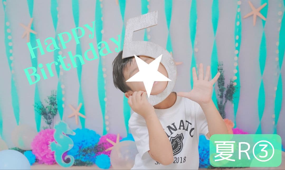 背景布×5+1　ペット撮影用フォトブース　トリミングチョーカー販売中　薔薇　梅雨