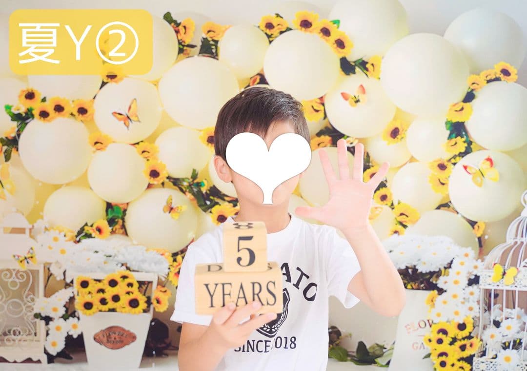 背景布×5+1　ペット撮影用フォトブース　トリミングチョーカー販売中　薔薇　梅雨