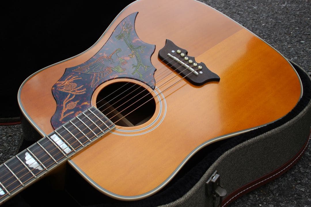 Epiphone Masterbilt Excellente ハードケース付き