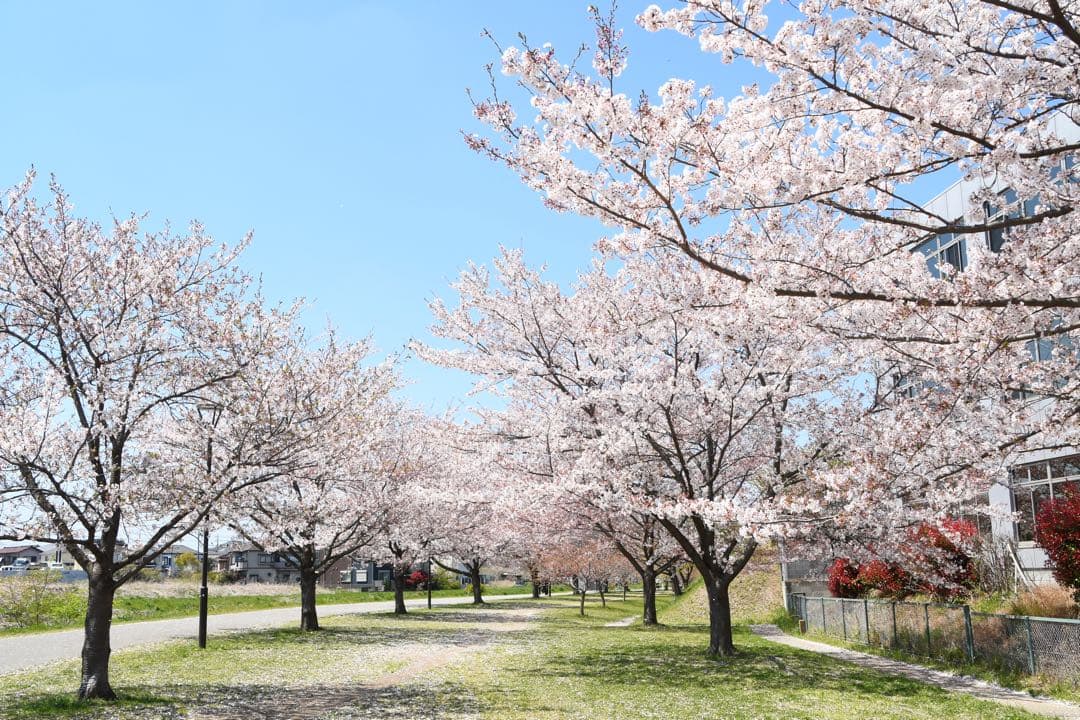 Nikon D7500 レンズセット