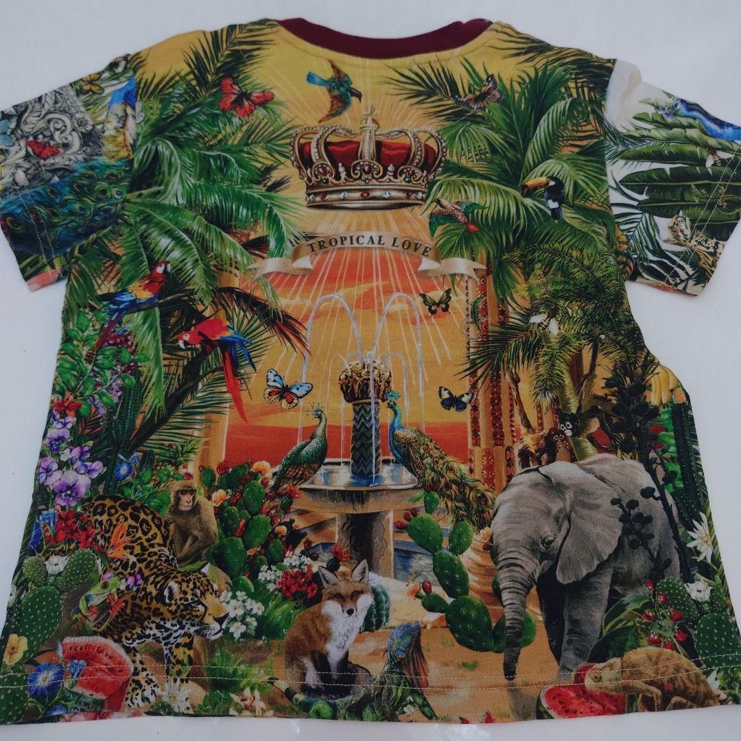 Dolce＆Gabbana Tシャツ・ジーンズ　3点セット
