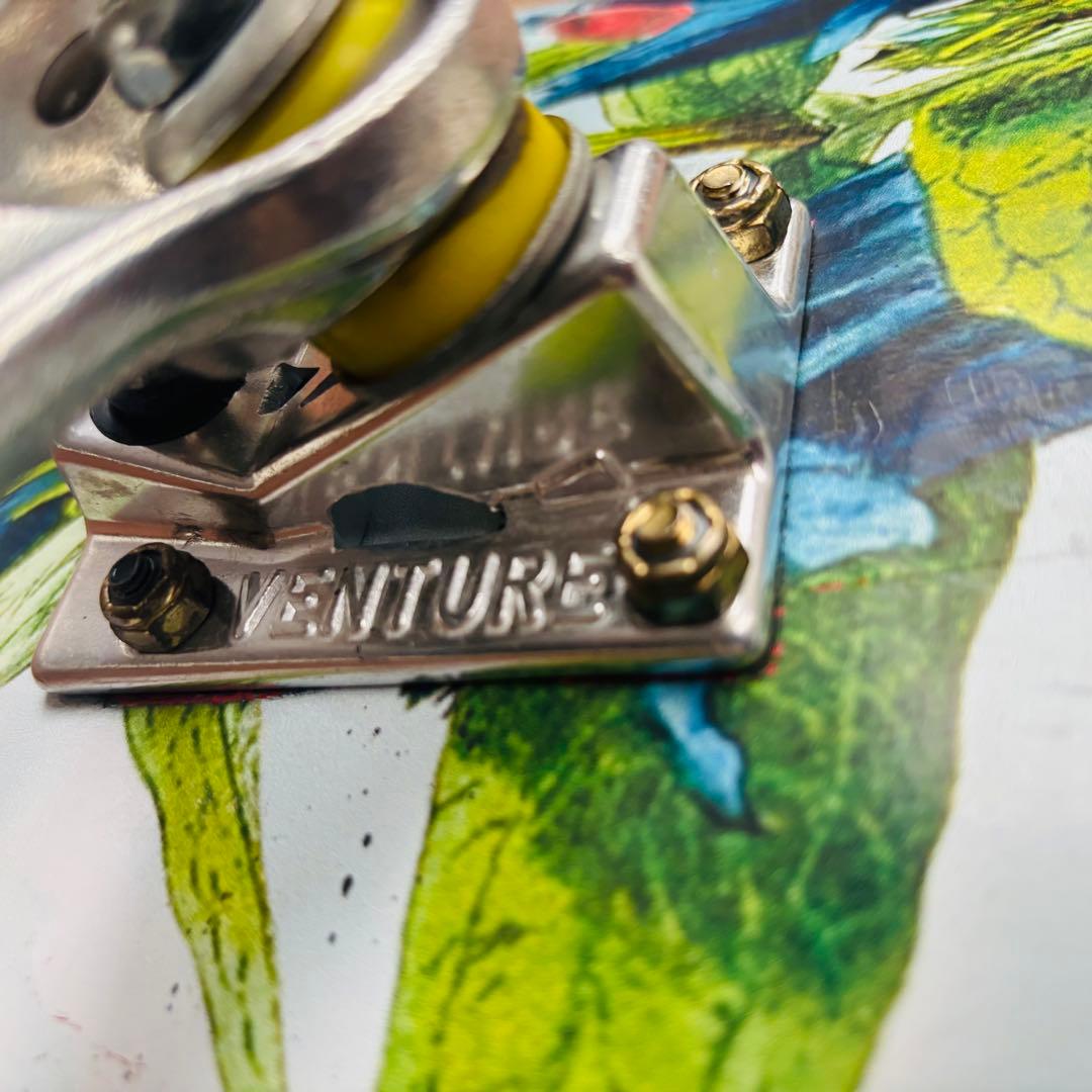 PRIMITIVE スケートボード コンプリートセット 8.0インチ