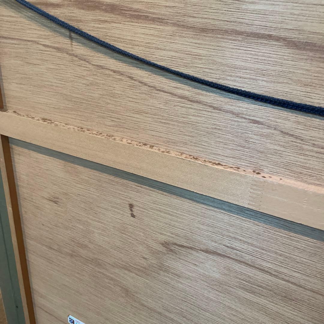 ✴︎ヒロヤマガタ✴︎ 泥棒　13/50