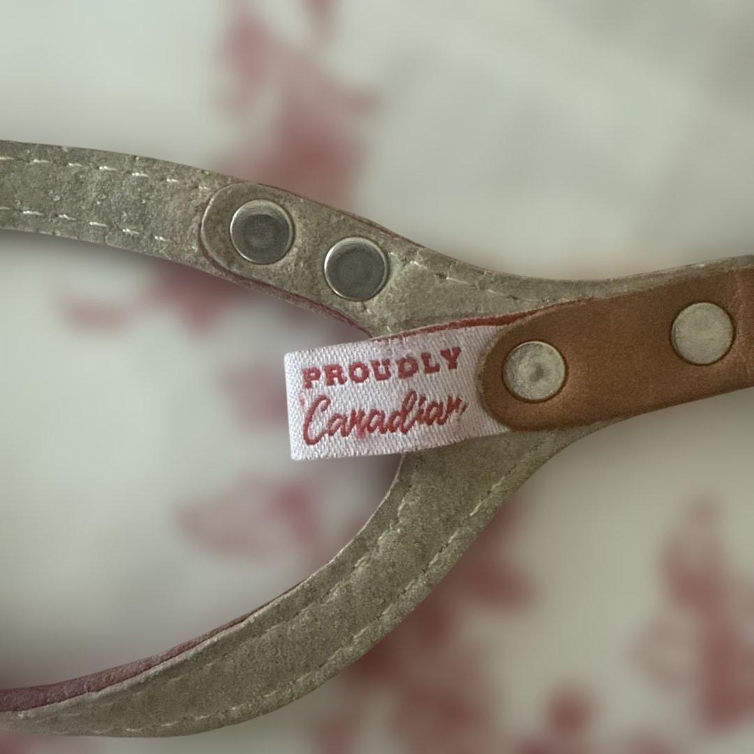 バディベルト✴︎ハーネス、リードセット