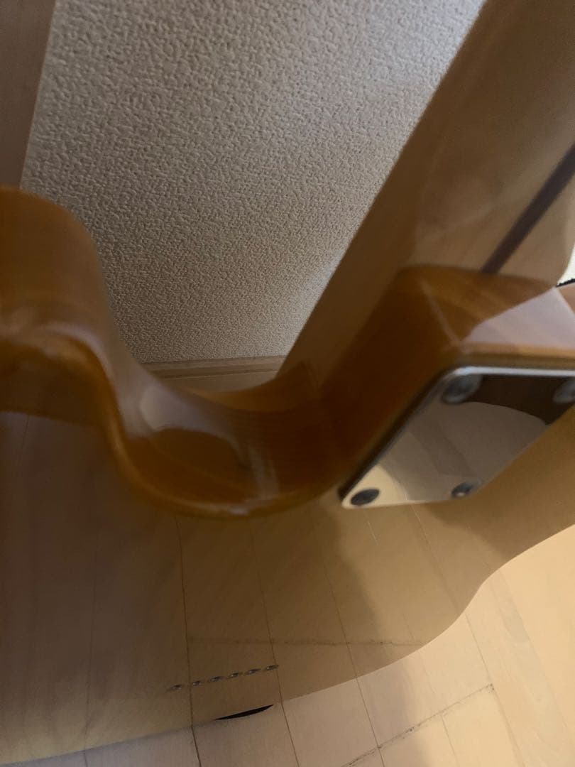 フジゲン ネオクラシック テレキャスター　エレキギター