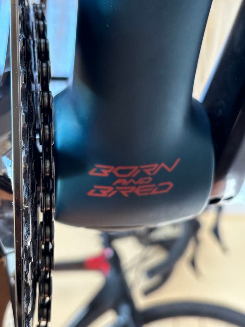 【フレームセットのみ】 FELT_FR4.0 DISC 51サイズ