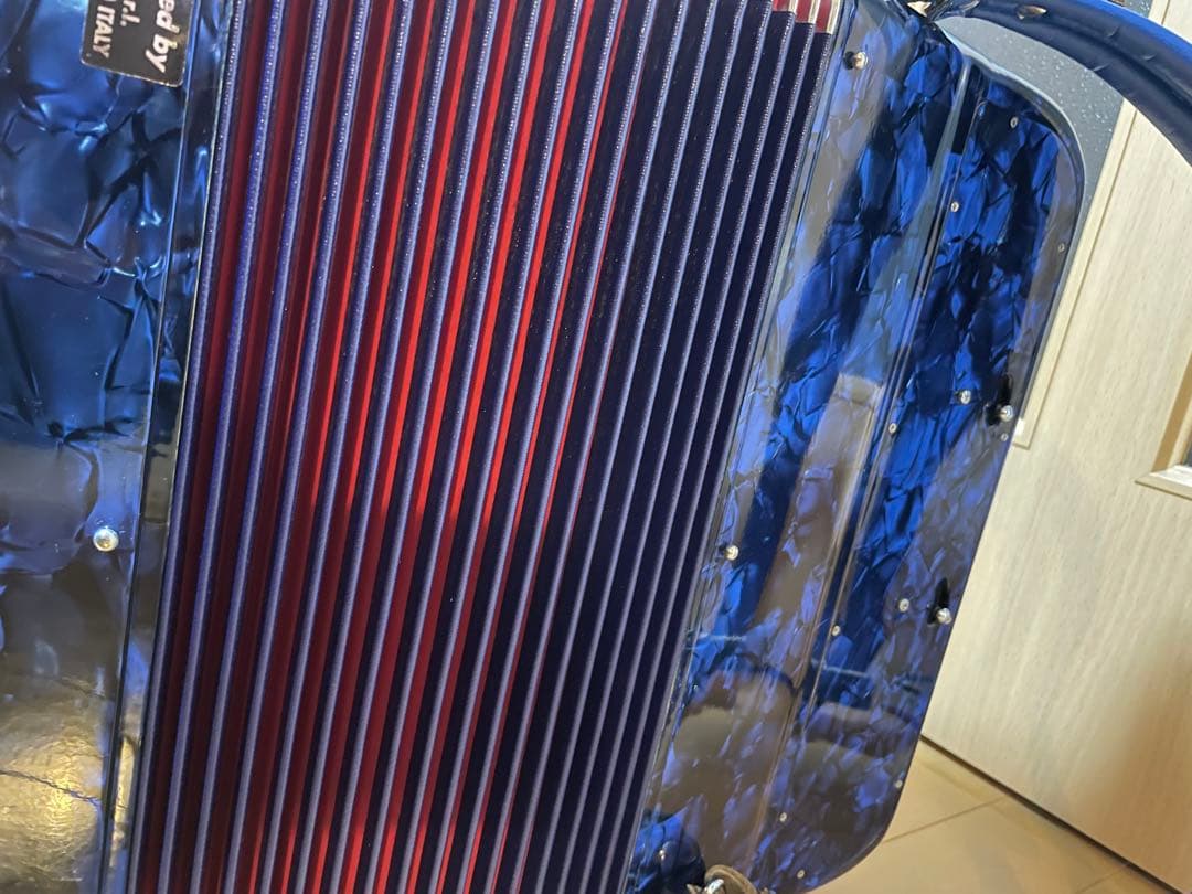 ヒ*ム様 ⭐︎超美品⭐︎Piermaria ボタン式アコーディオン ハードケース