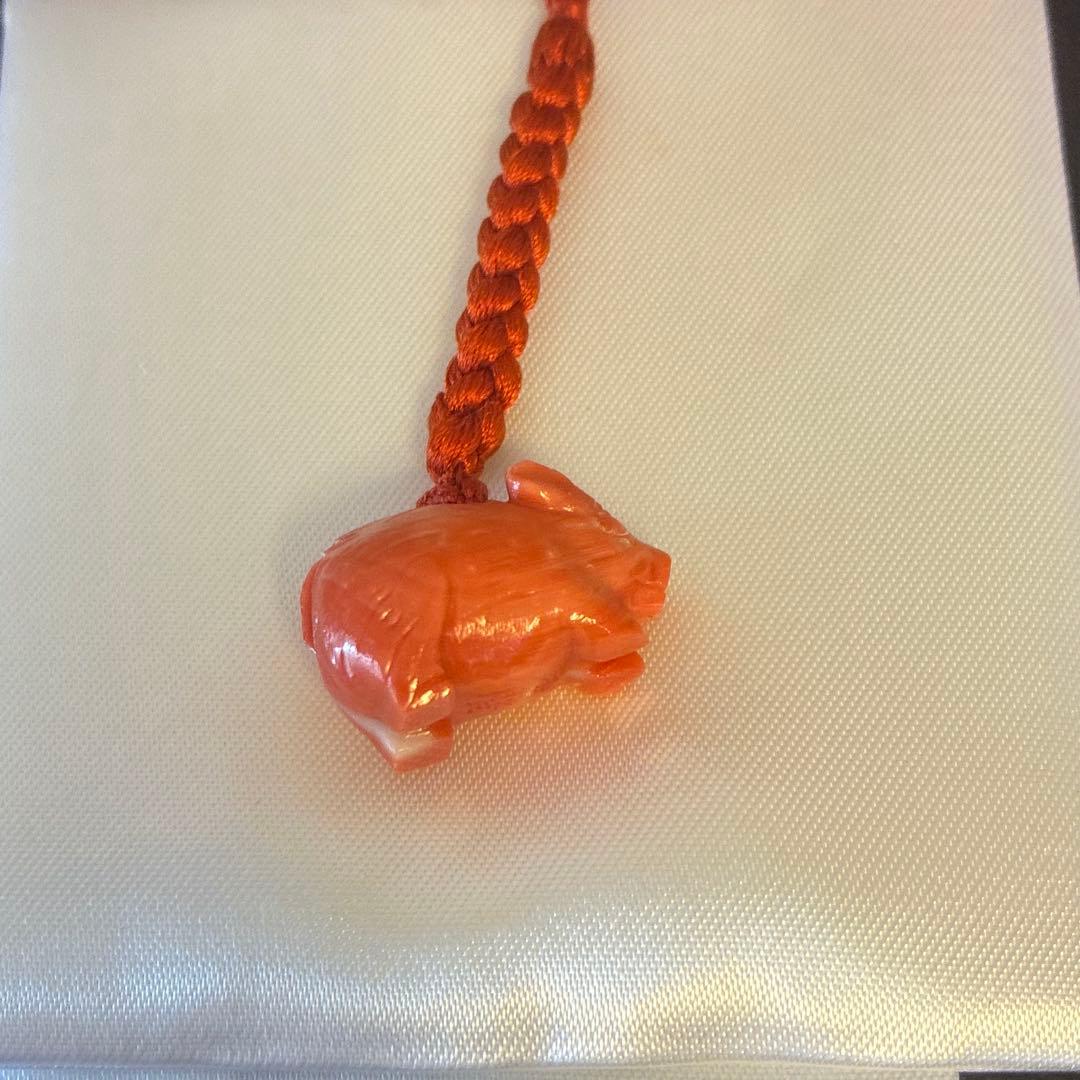 谷口康隆 作 猪 百貨店購入 根付 チャーム ストラップ 珊瑚 アクセサリー