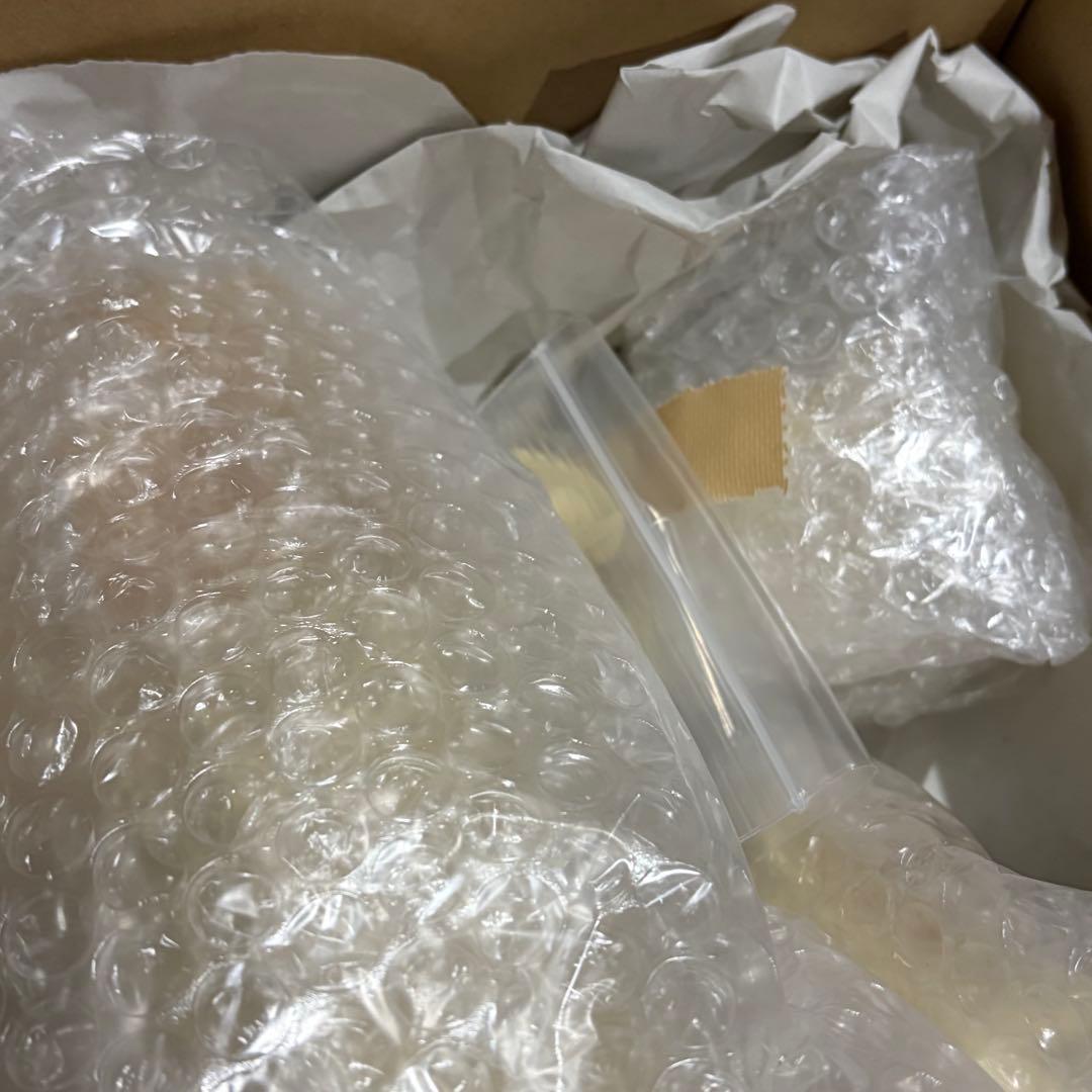 Sagata Kick ギャンゴ ガレージキット【内袋未開封】